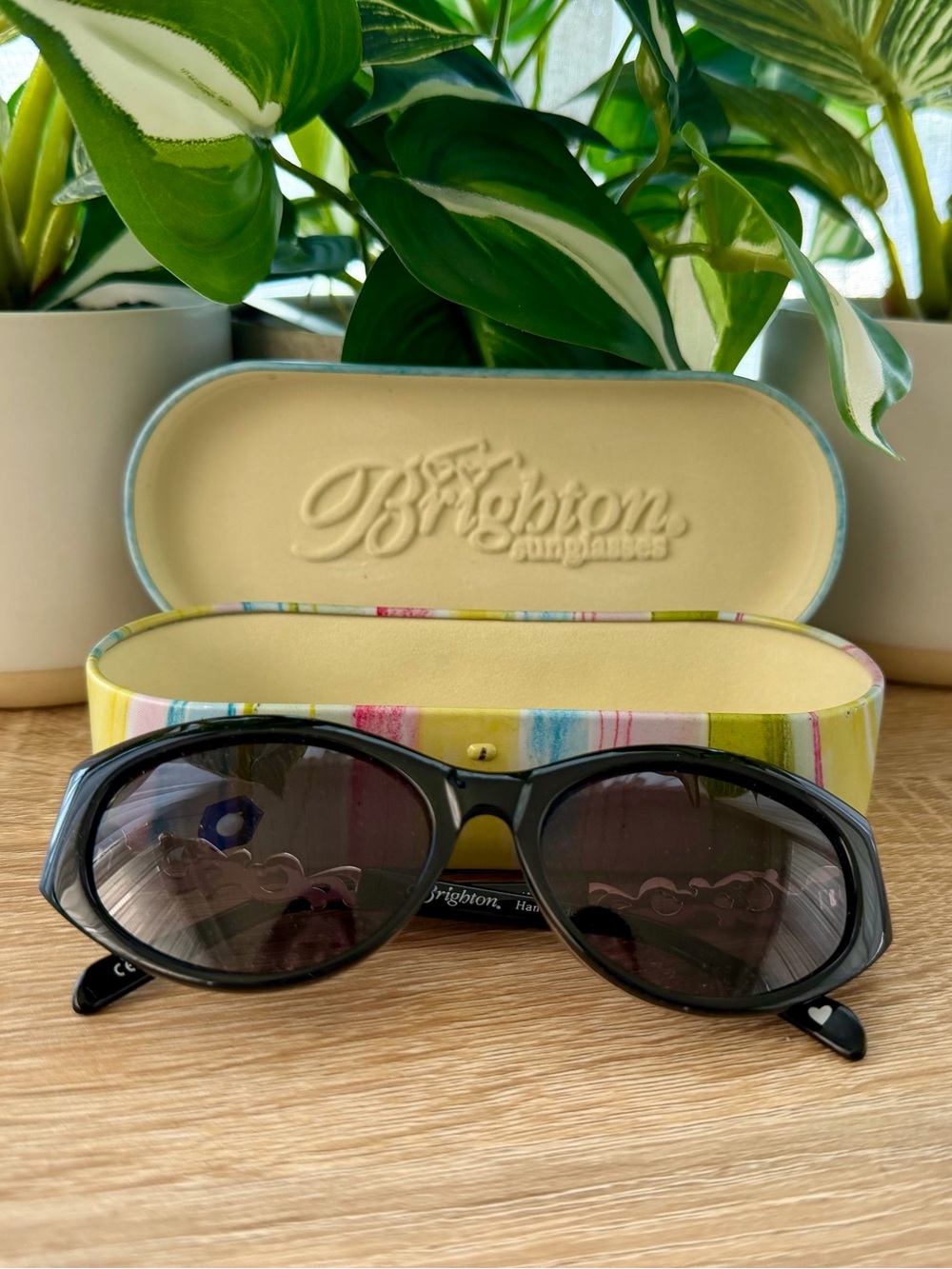 Brighton Black Sunglasses with Striped Pastel Hard Case